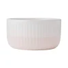 Dinnerware Service For 4|Darbie Angell Rising Up Blush 12 Piece Dinnerware Set, Service for 4